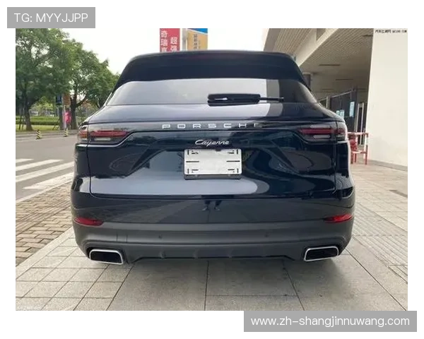 保时捷PG官网入口安全登录指南及常见问题解决方案